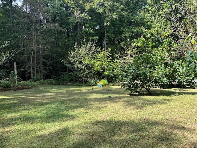 26491 Mason Rd, Bloxom, VA 23308 - view of yard