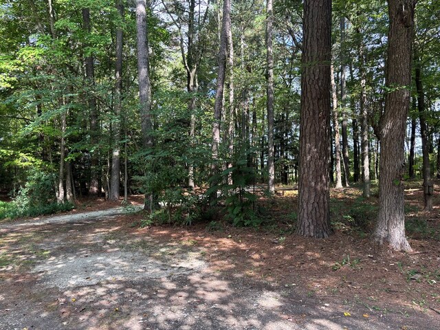 26491 Mason Rd, Bloxom, VA 23308 - view of landscape
