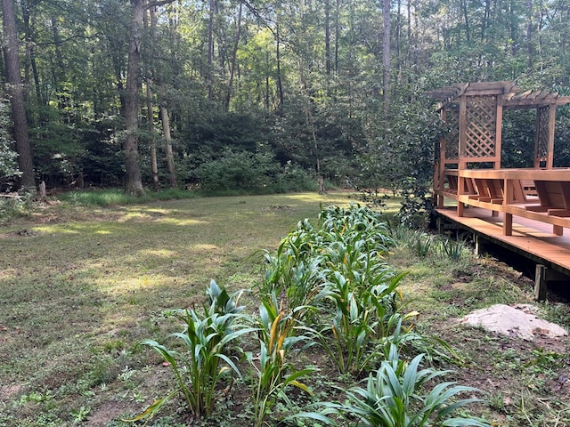 26491 Mason Rd, Bloxom, VA 23308 - view of yard with a pergola and a deck