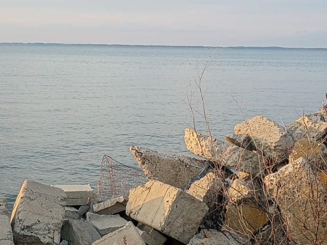 view of water feature