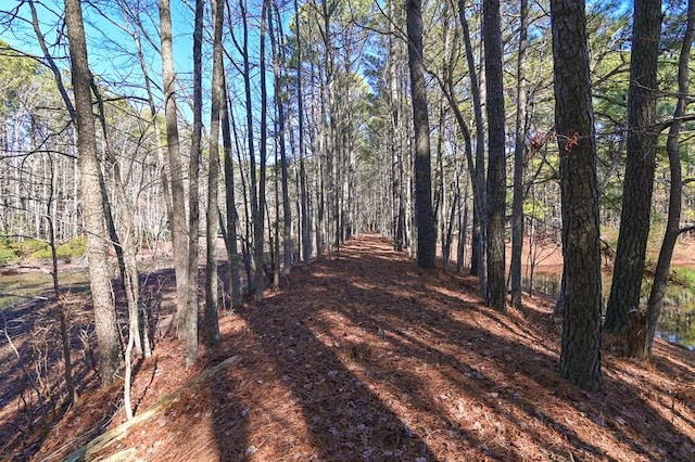 LOT1 Peaceful Shores Dr Unit 1, Exmore VA, 23350 land for sale