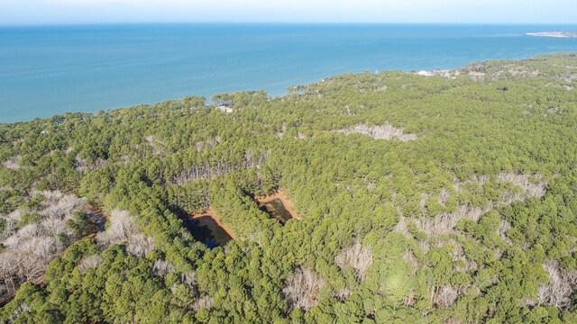 LOT1 Peaceful Shores Dr Unit 1, Exmore, VA 23350