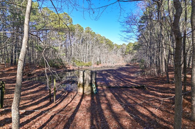LOT1 Peaceful Shores Dr Unit 1, Exmore, VA 23350