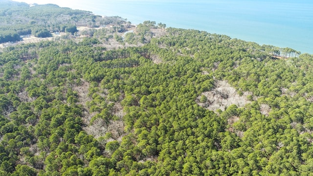 LOT1 Peaceful Shores Dr Unit 1, Exmore, VA 23350
