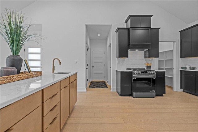 22231 Verlinda Lndg S, Cape Charles, VA 23310 - kitchen featuring electric range, a sink, light wood finished floors, dark cabinetry, and backsplash