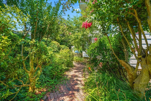 4282 Main St, Chincoteague, VA 23336 - view of yard