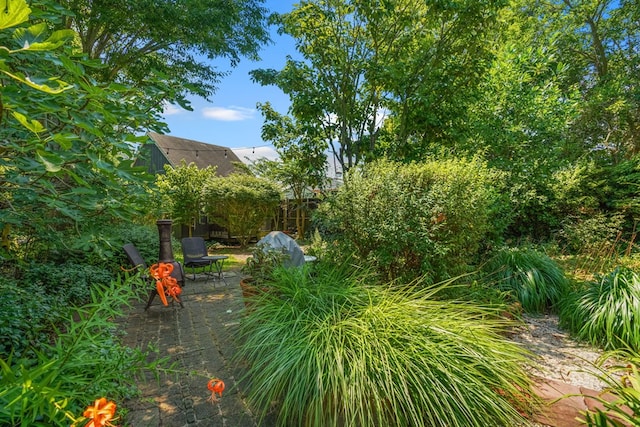 4282 Main St, Chincoteague, VA 23336 - view of yard featuring a patio