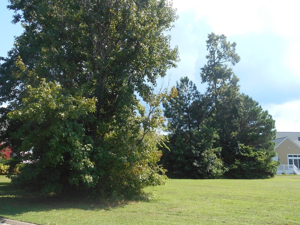 203 Arnies Loop Unit 86, Cape Charles, VA 23310 - photo 2