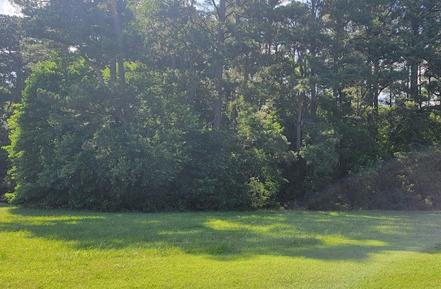 LOT67 Atlantic St Unit 67, Accomac, VA 23301 - photo 7