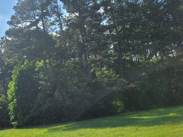 LOT67 Atlantic St Unit 67, Accomac, VA 23301 - photo 9