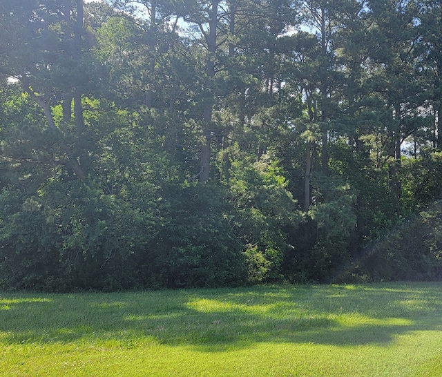 LOT67 Atlantic St Unit 67, Accomac, VA 23301 - photo 6
