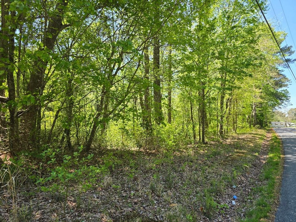 0 Winterville Rd Unit 0, Bloxom, VA 23308