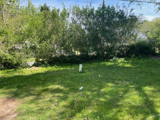 30208 Temperanceville Rd, Temperanceville, VA 23442 - view of yard