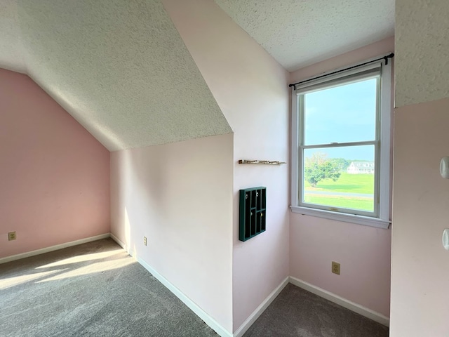 bonus room featuring a textured ceiling, carpet floors, and lofted ceiling