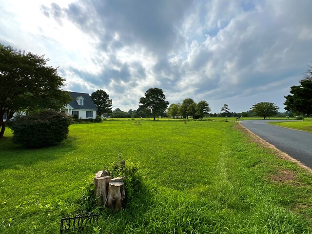 view of yard featuring a rural view