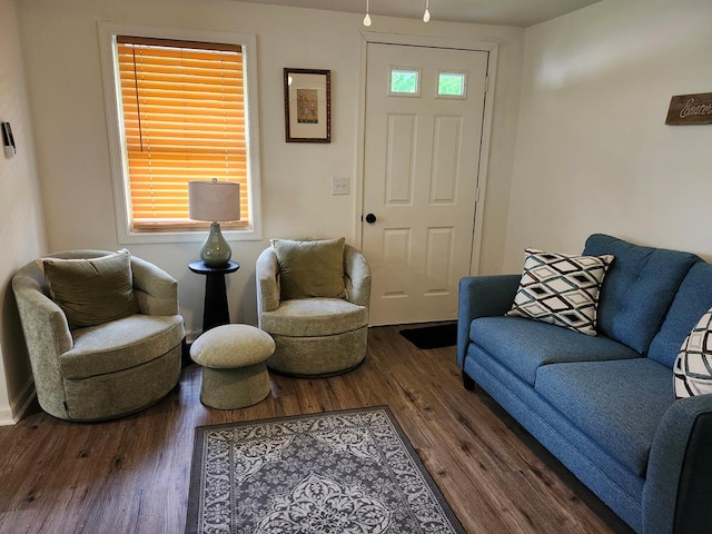 living room featuring dark hardwood / wood-style flooring