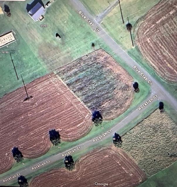 LOT44 Blue Crab Cir Unit 44, Painter, VA 23420