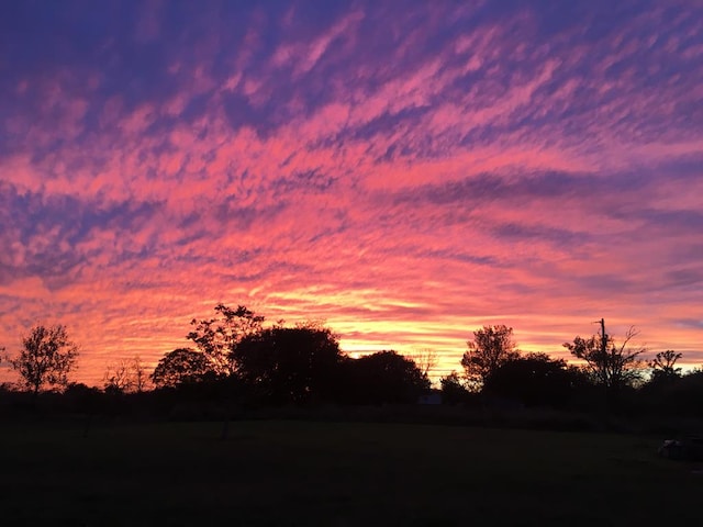 view of nature at dusk