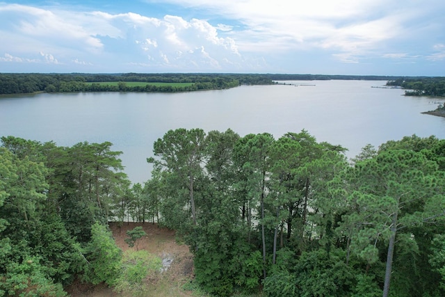 35204 Bluff Dr, Belle Haven, VA 23306 - photo 37