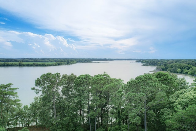 35204 Bluff Dr, Belle Haven, VA 23306 - photo 35