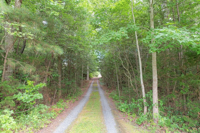 35204 Bluff Dr, Belle Haven, VA 23306 - photo 34