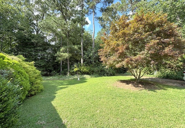 35204 Bluff Dr, Belle Haven, VA 23306 - photo 38