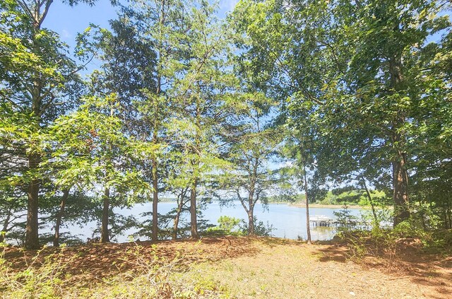 35204 Bluff Dr, Belle Haven, VA 23306 - photo 31