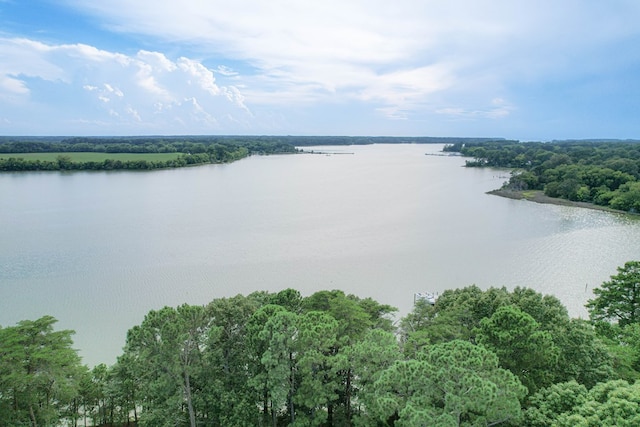 35204 Bluff Dr, Belle Haven, VA 23306 - photo 36