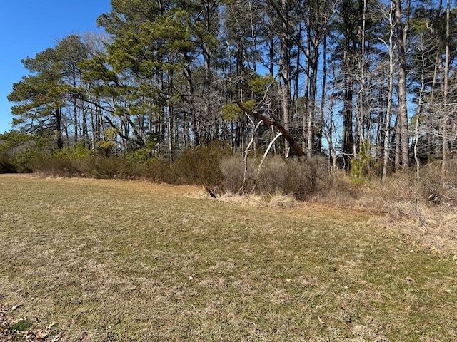 LOT2 Eagle Dr Unit 2, New Church VA, 23415 land for sale