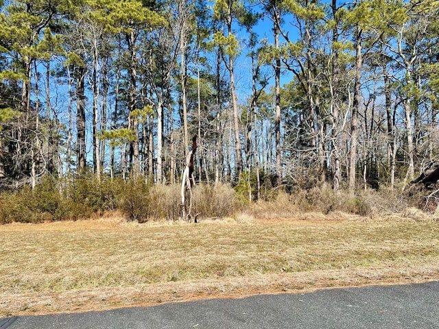 Listing photo 3 for LOT2 Eagle Dr Unit 2, New Church VA 23415