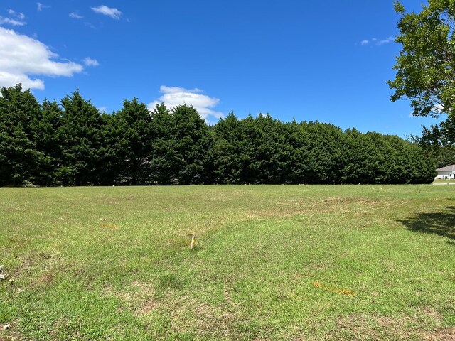 22199 Verlinda Lndg S, Cape Charles, VA 23310 - view of grassy yard