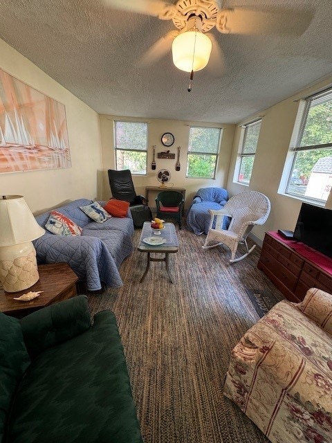 5196 Blue Heron Dr, Horntown, VA 23395 - living room featuring a textured ceiling, healthy amount of natural light, a ceiling fan, and wood finished floors