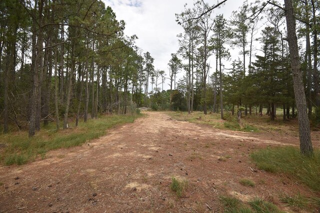 LOT1 Hacksneck Rd Unit 1 & 2, Hacksneck, VA 23358