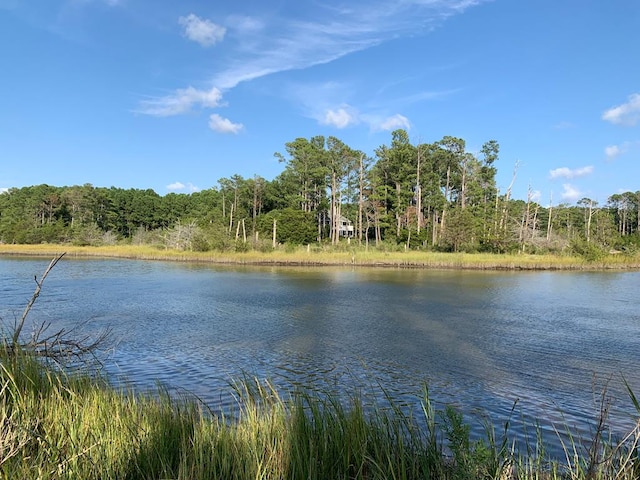 LOT1 Hacksneck Rd Unit 1 & 2, Hacksneck, VA 23358