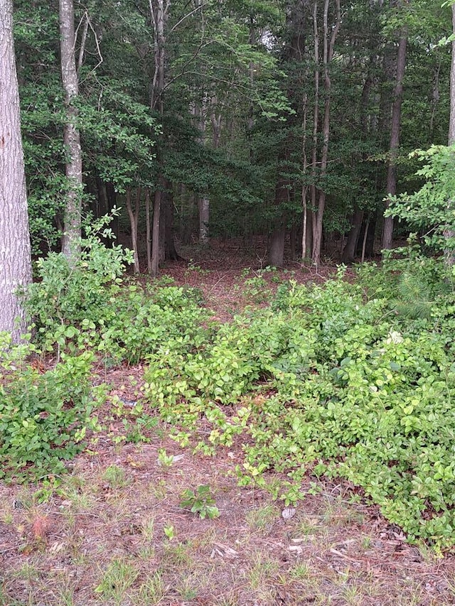 LOT34 Pitts Creek Rd Unit 34, New Church, VA 23415 - photo 1