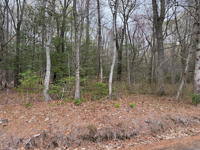 LOT34 Pitts Creek Rd Unit 34, New Church, VA 23415 - photo 24