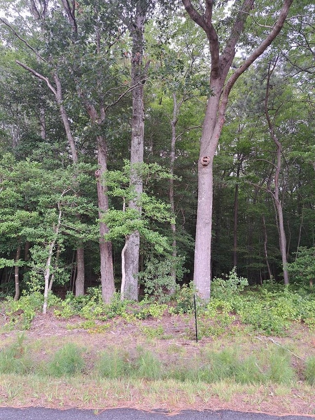 LOT34 Pitts Creek Rd Unit 34, New Church, VA 23415 - photo 25