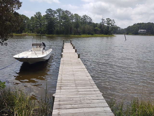 30007 Kilmon Ln, Hacksneck, VA 23358 - dock featuring a water view and a wooded view