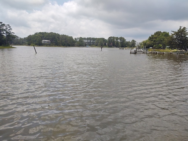 30007 Kilmon Ln, Hacksneck, VA 23358 - water view with a boat dock