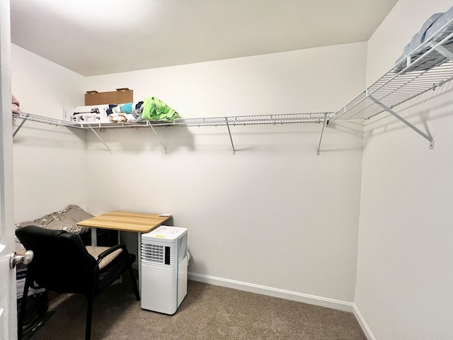 walk in closet featuring carpet flooring