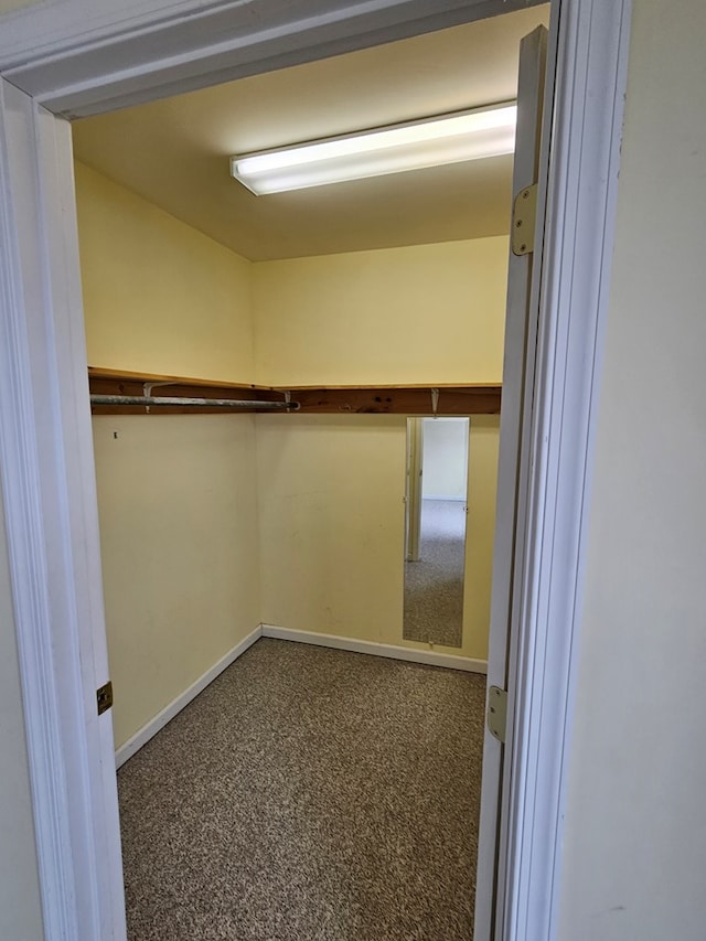 spacious closet with carpet floors