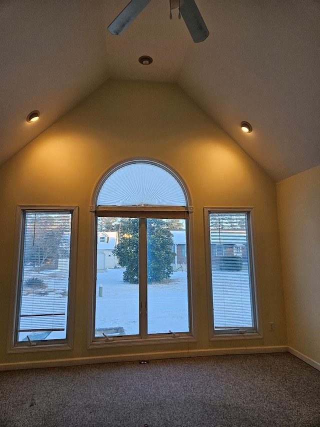 details with a ceiling fan and carpet