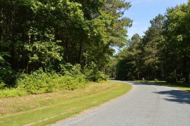 LOT18 Yeo Neck Run Unit 18, Melfa, VA 23410 - photo 5