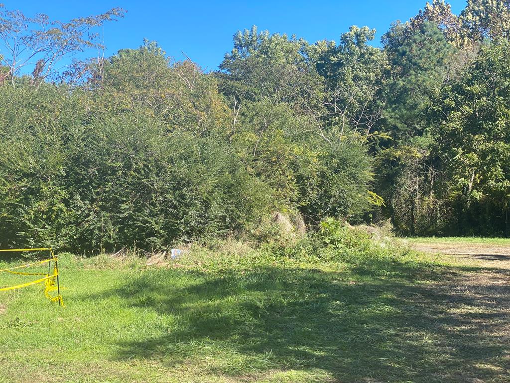 LOT164 Shoremain Dr Unit 164, Bloxom, VA 23407