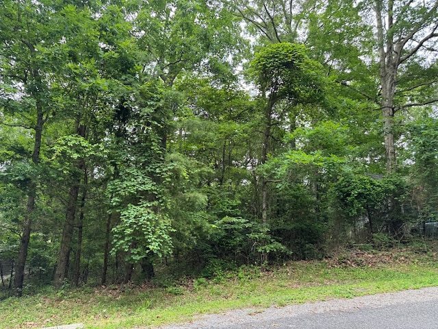 LOT1879 Buccaneer Blvd Unit 1879, Greenbackville, VA 23356 - photo 2