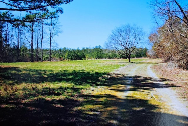 ParcelB Muddy Creek Road 150, Bloxom, VA 23308 - photo 1