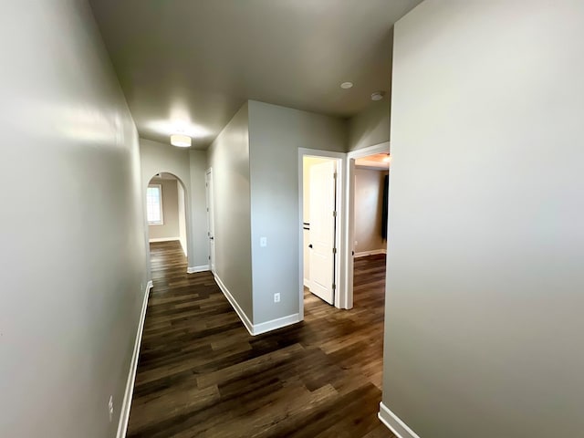 hall with dark wood-type flooring