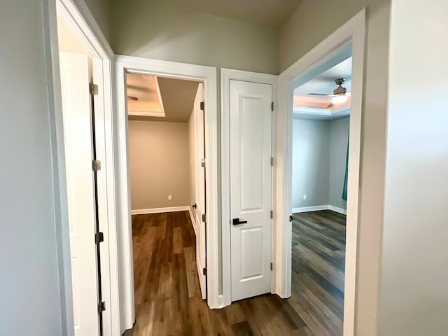 corridor with dark hardwood / wood-style flooring and a raised ceiling