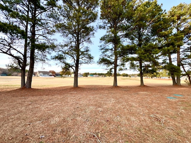3102 Cutter Ct, Greenbackville, VA 23356 - view of yard