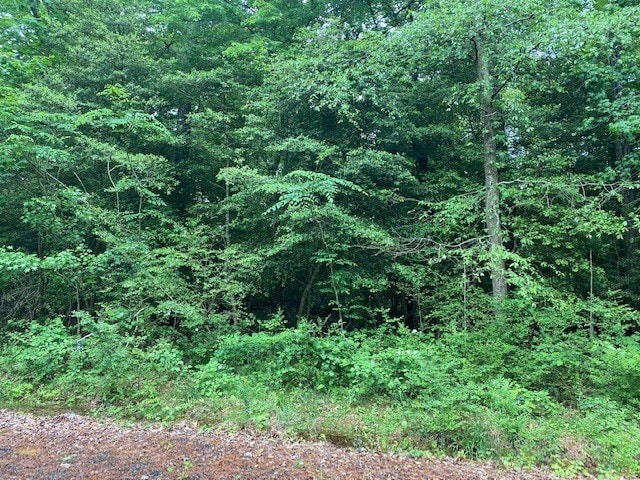 Listing photo 3 for LOT8 Eaglet Ln Unit 8, Atlantic VA 23303